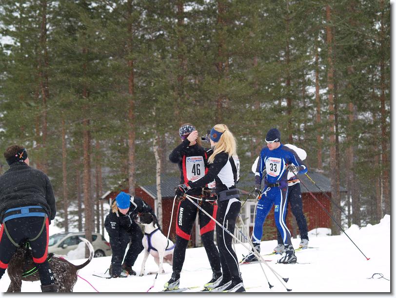 Nästa bild